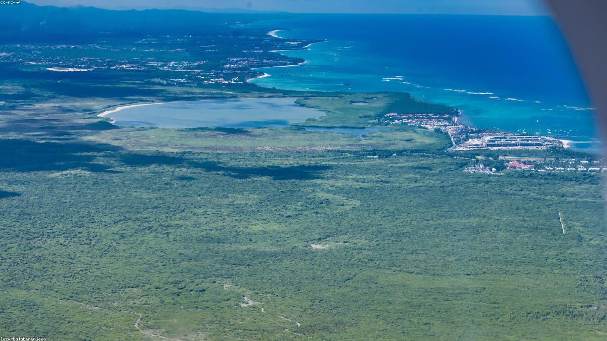 Dominican Republic palm trees