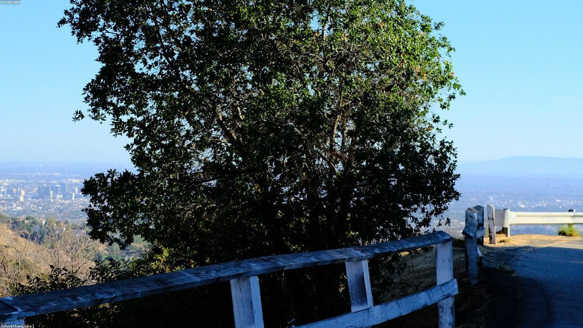 Los Angeles Hollywood sign