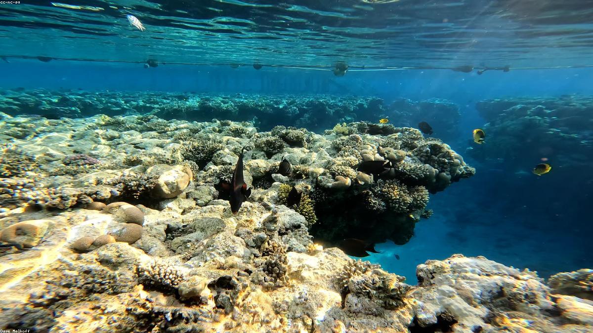 Sharm El Sheikh resort