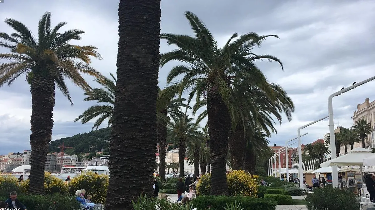 Split Croatia coast